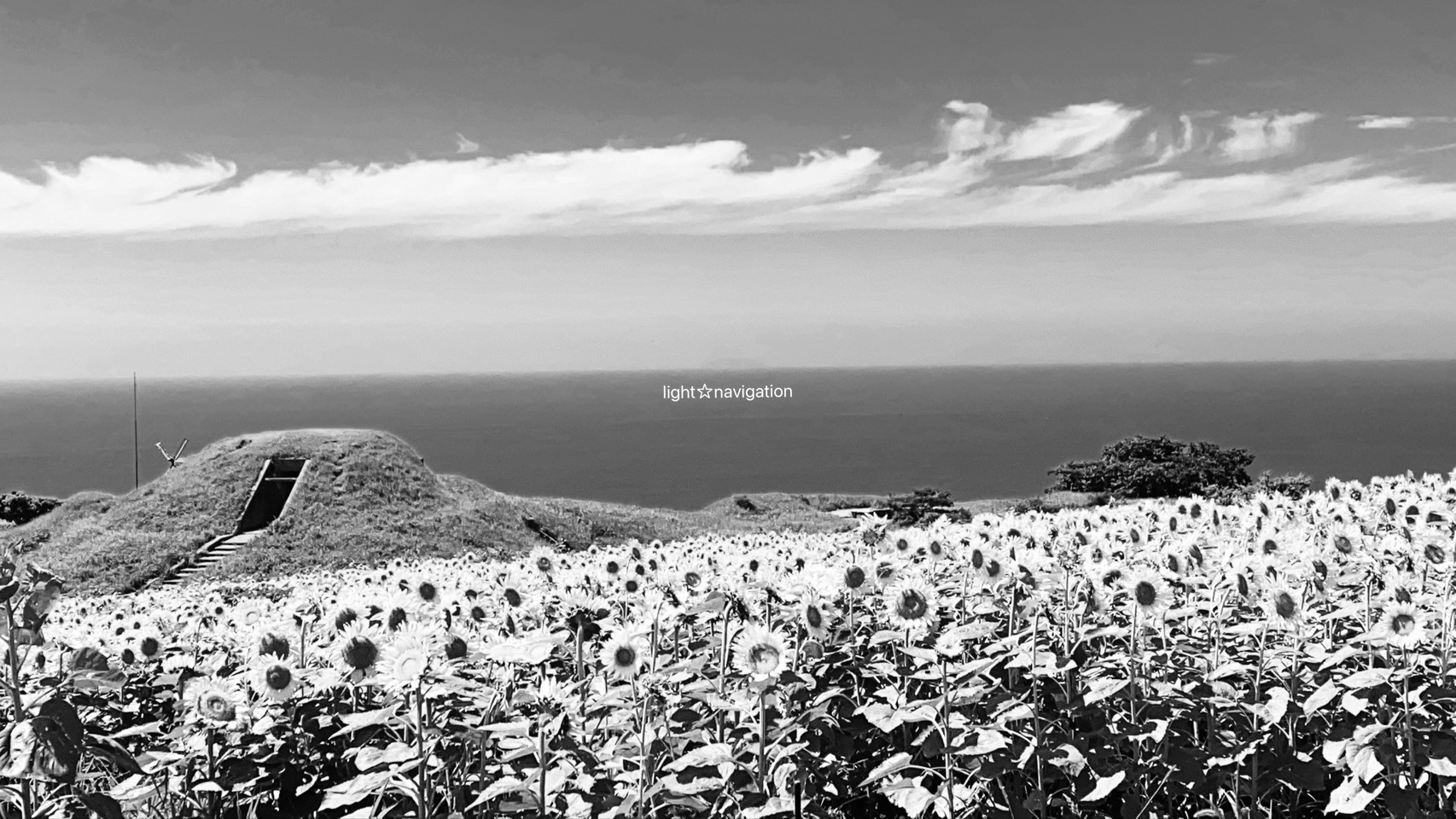 帰化人子孫の行方